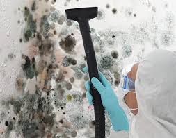 Best Mold Remediation for Rental Properties  in Reed Creek, GA